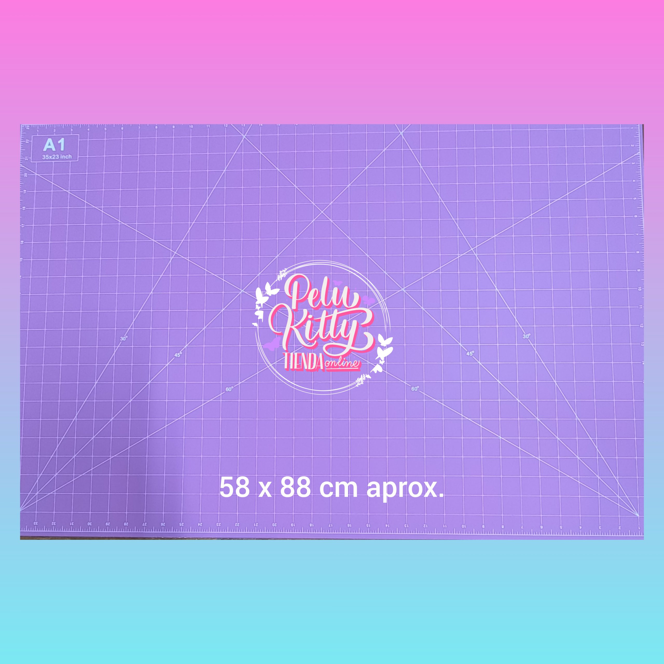 InShot_20250324_124622705