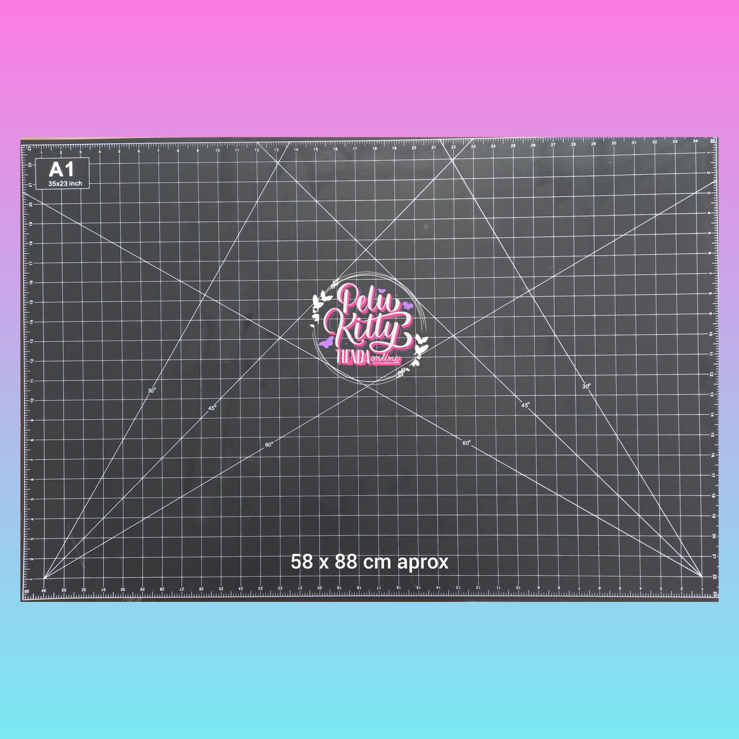 InShot_20250324_130522786